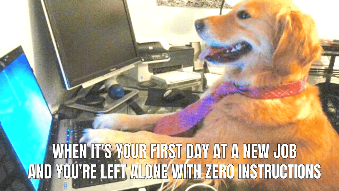 6 First Day Of Work Memes That Perfectly Sum Up What It's Like